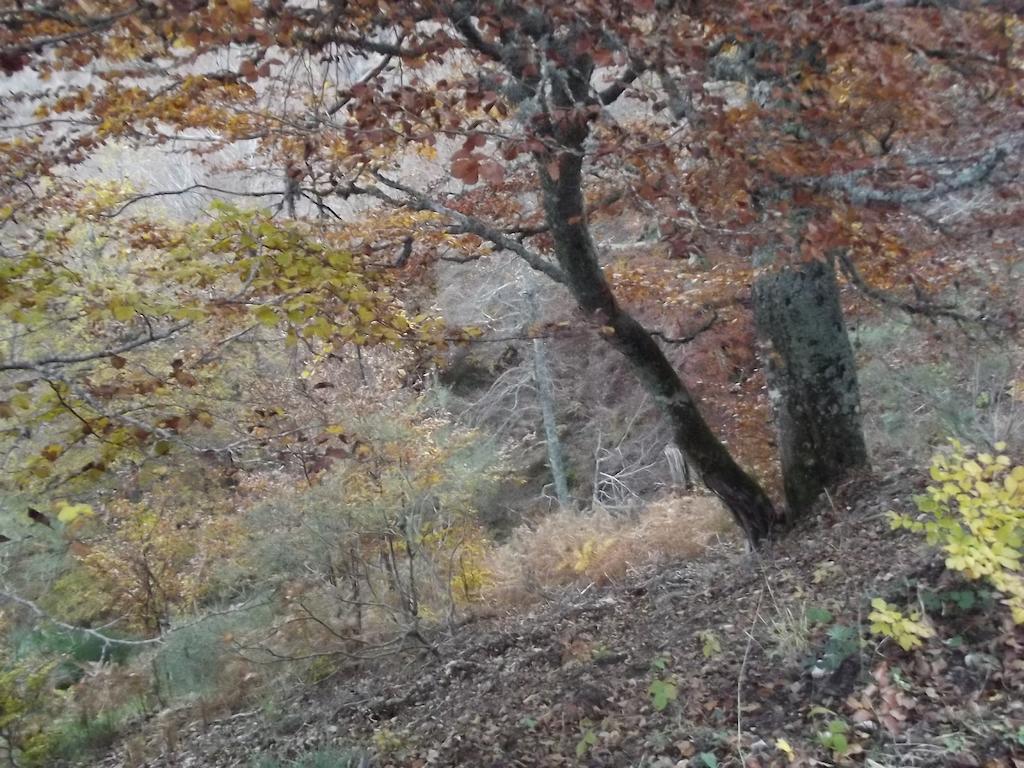 فندق Montana Palentina غواردو المظهر الخارجي الصورة